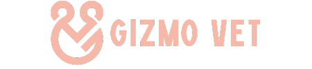 GizmoVetDZ