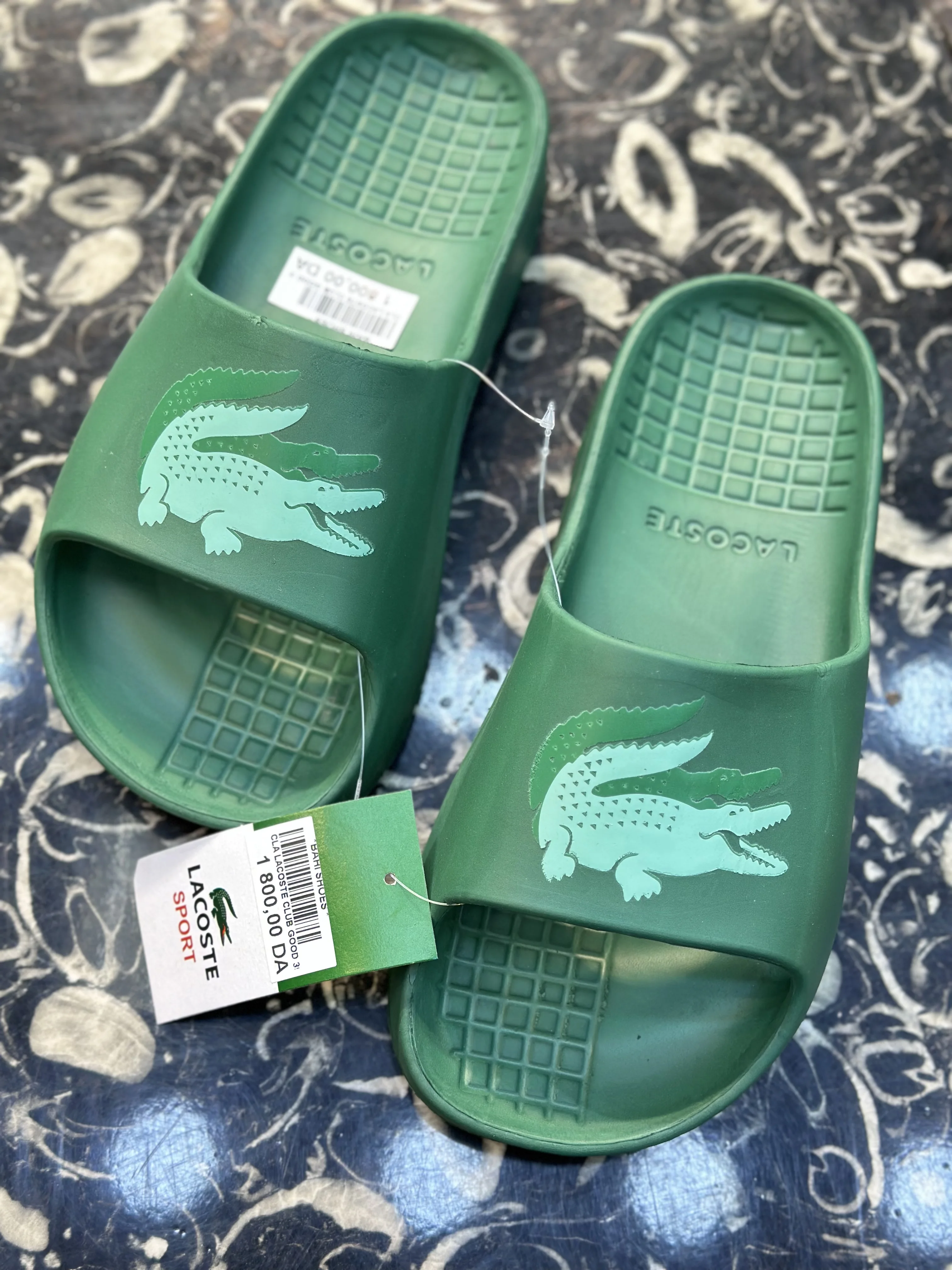 ✅Claquette Lacoste🐊New Collection✅Good Quality👍💵⚡️🛍️