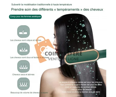 straightener Lisseur électrique professionnel 2 en 1 à ions négatifs Chauffage rapide