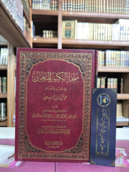 حواشي ابن هشام الأنصاري على ألفية ابن مالك