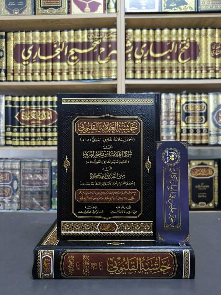 حاشية العلامة القليوبي على شرح ابن قاسم الغزي - أحمد بن سلامة الشافعي