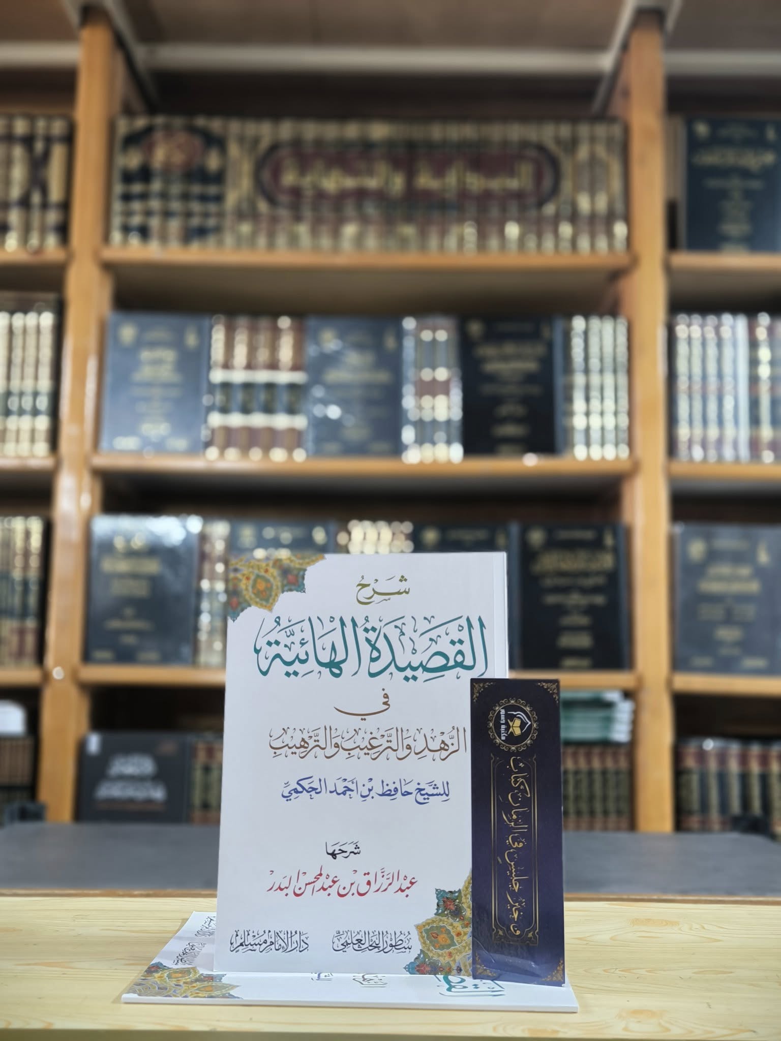 شرح القصيدة الهائية في الزهد والترغيب