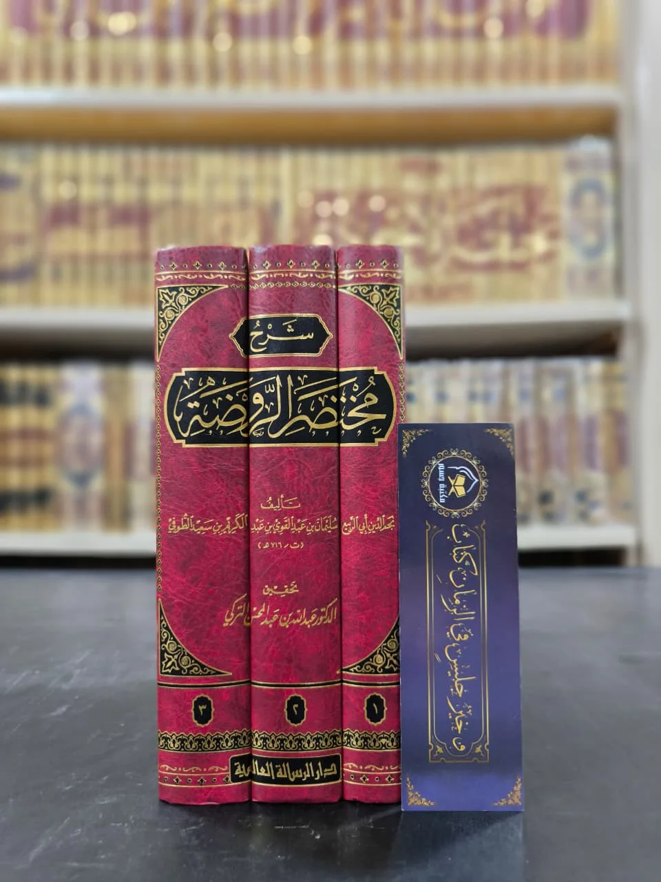 شرح مختصر الروضة 1/3