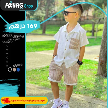 Ensemble ANEER