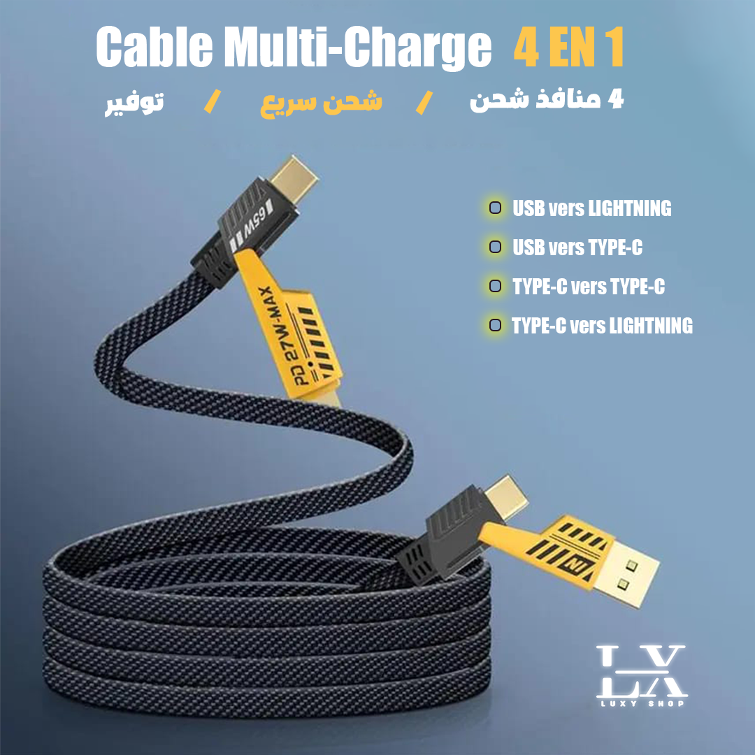 CABLE DE CHARGE 4 EN 1