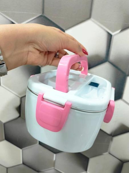 حافظة الطعام الكهربائية