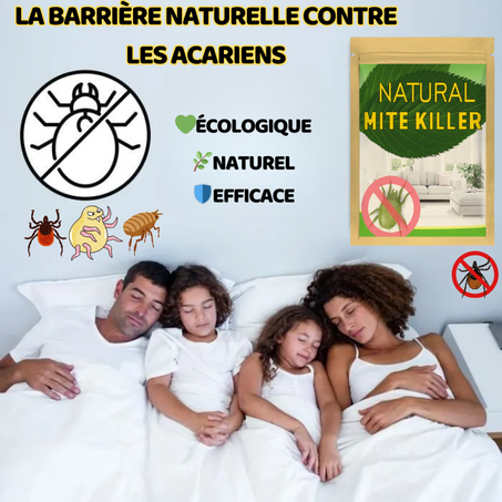 Tampons Anti-Acariens Naturels pour une Maison Saine