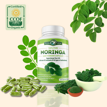 كبسولات المورينجا: الشجرة المعجزة