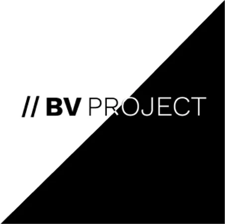 //BV PROJECT Collection