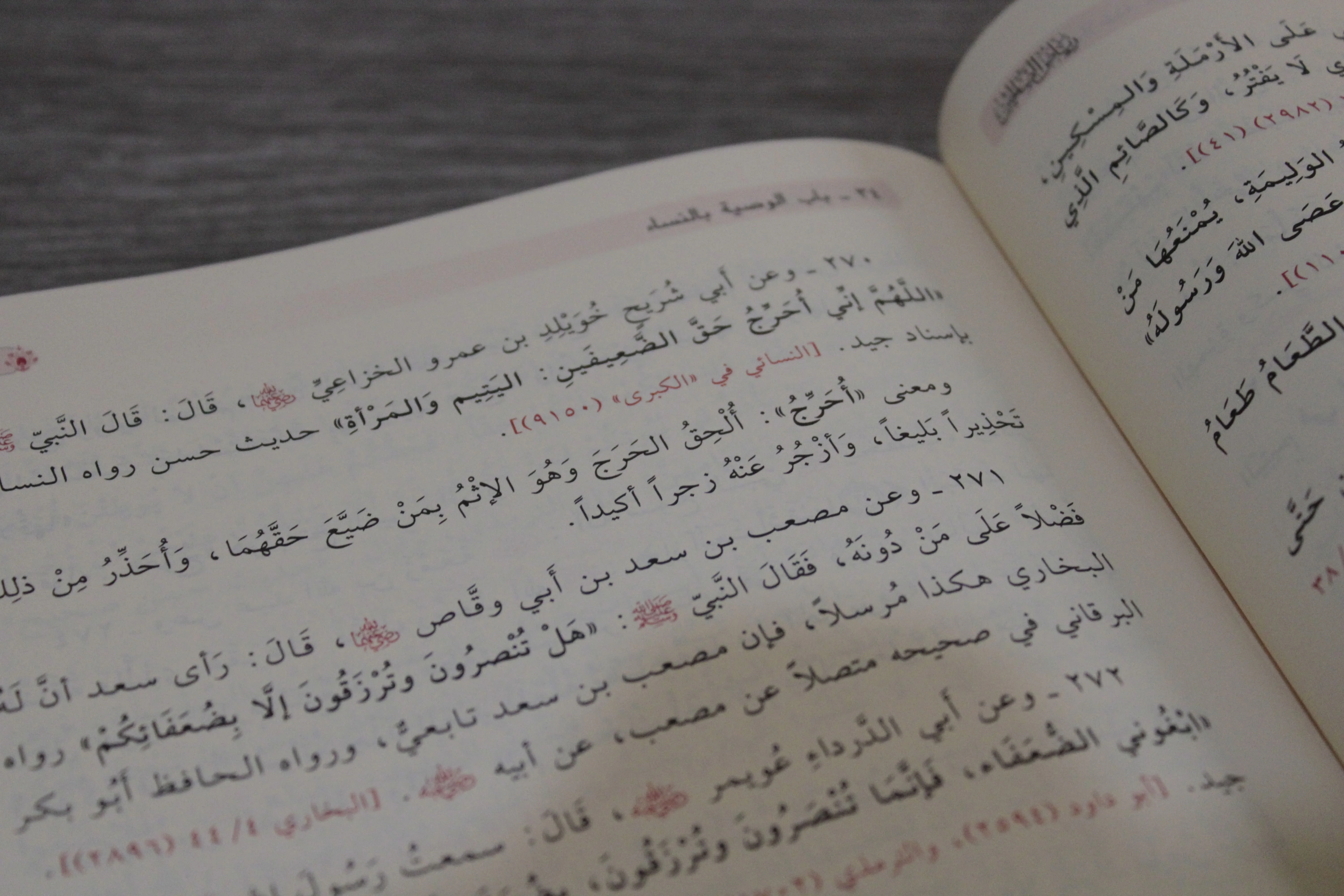 رياض الصالحين - للإمام النووي - دار طيبة