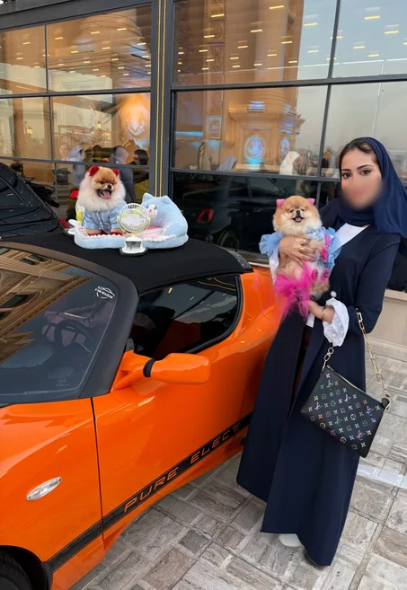 بليزر نايت إن بلو