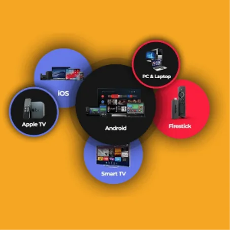 SUBSCRIPTIONS: 2 Connections