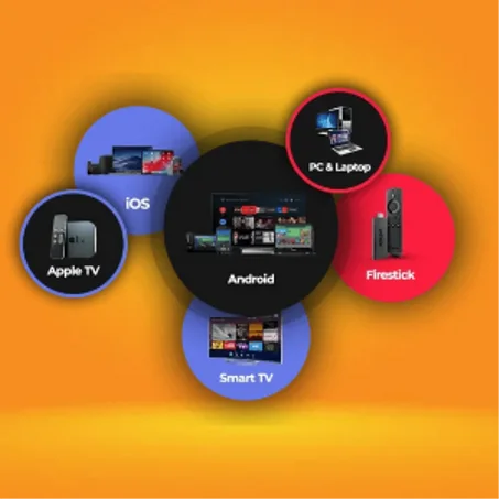 SUBSCRIPTIONS: 1 Connection