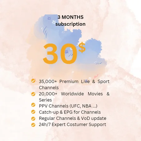 3 MONTHS SUBSCRIPTION PLAN
