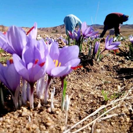 المنتوجات الطبيعية الضرورية في المنزل