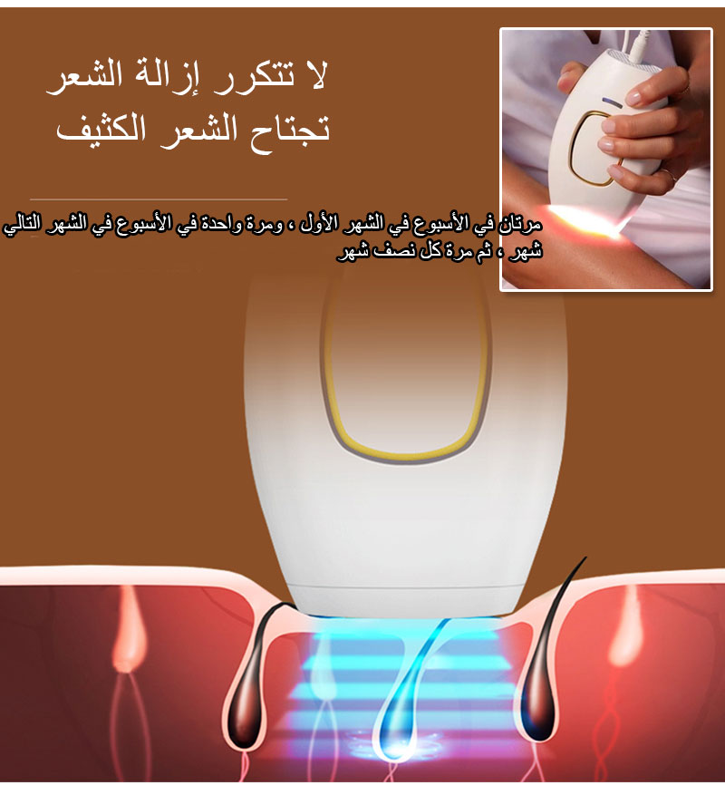 Text

Description automatically generated with medium confidence