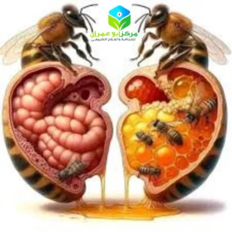 العسل الحر الطبيعي