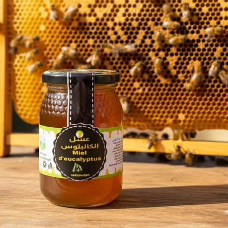 عسل الكاليبتوس