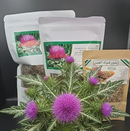 بذور  شوك الجمل