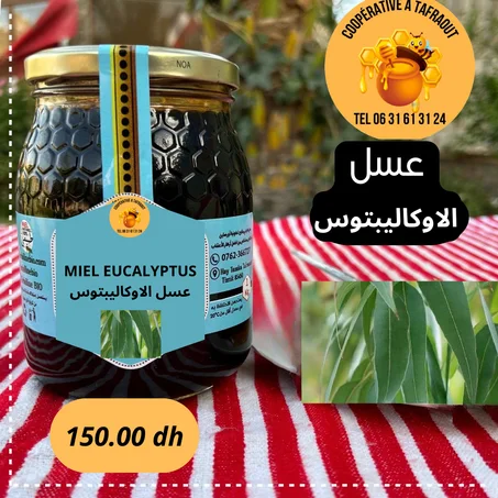 Miel EUCALYPTUS    عسل الاوكاليبتوس