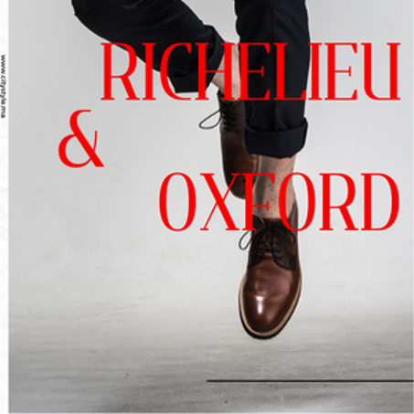 Richelieu et Oxford