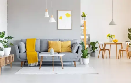 ديكور المنزل