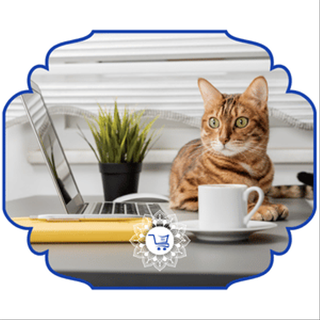 الحيوانات والأدوات