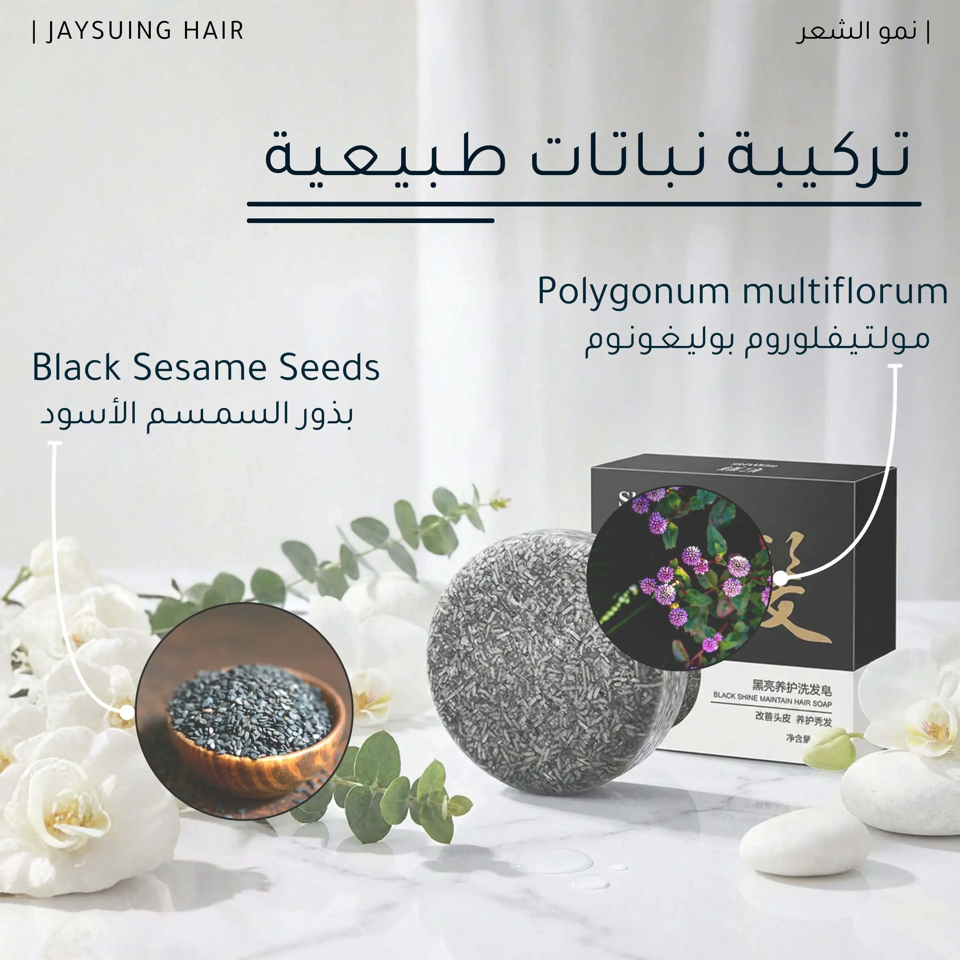 شـامـبـو عضـوي