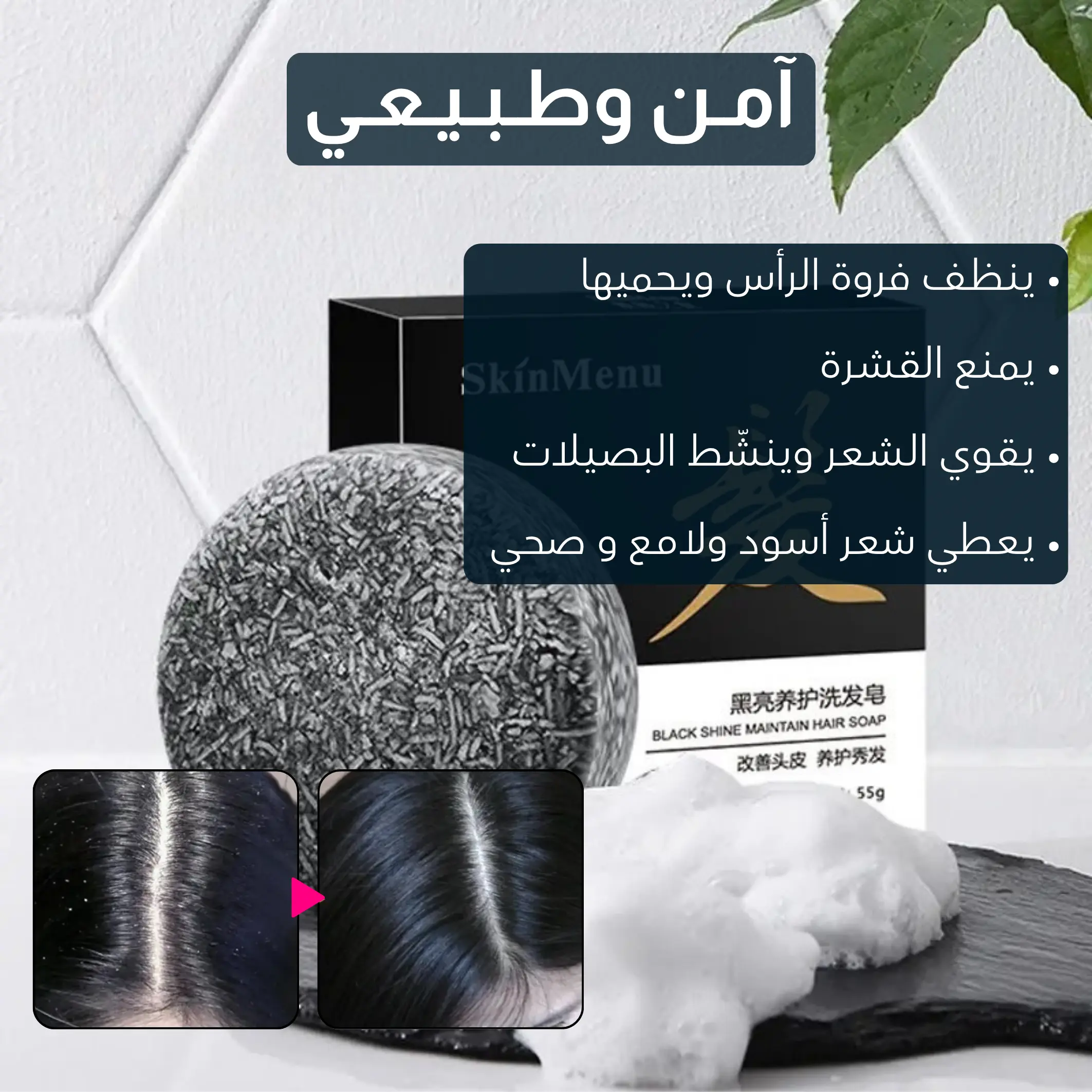 شـامـبـو عضـوي