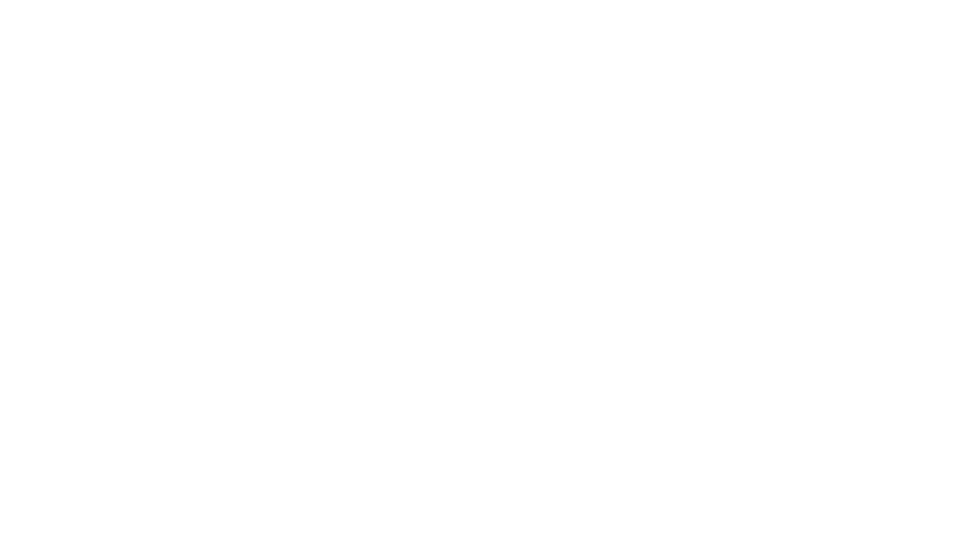 Stella Store