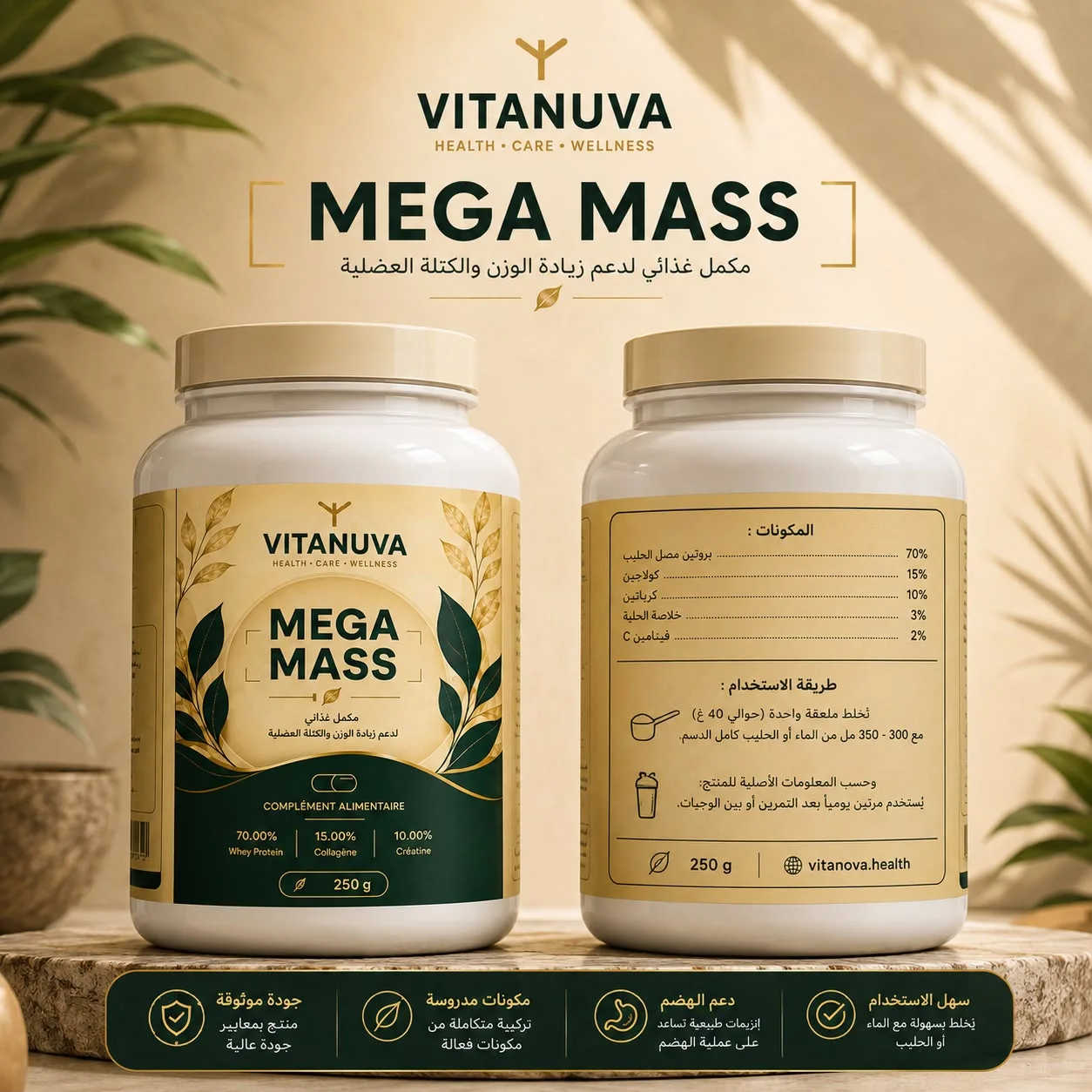 Mega Mass