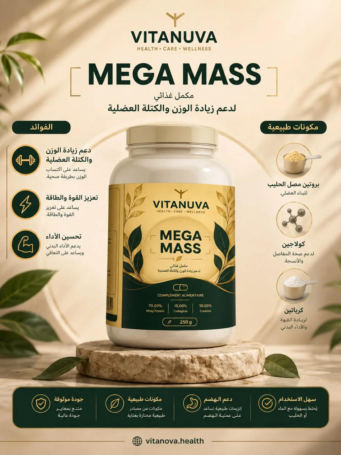 Mega Mass