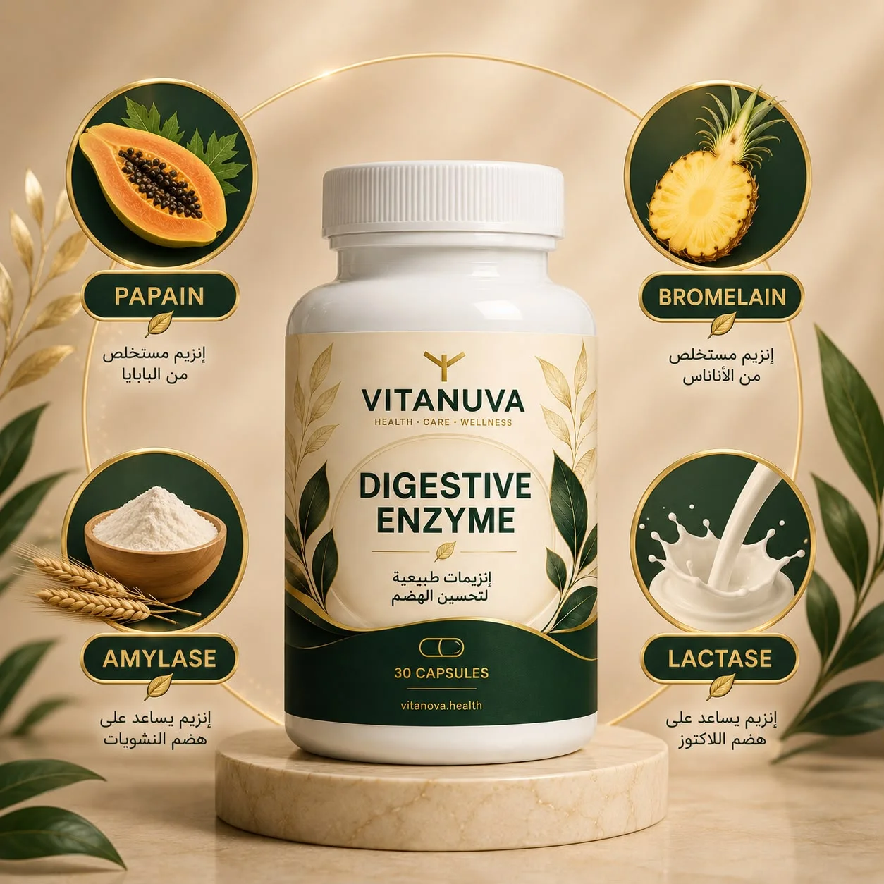 Digestive Enzyme