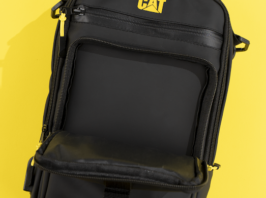 Bag cat