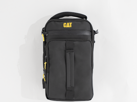 Bag cat