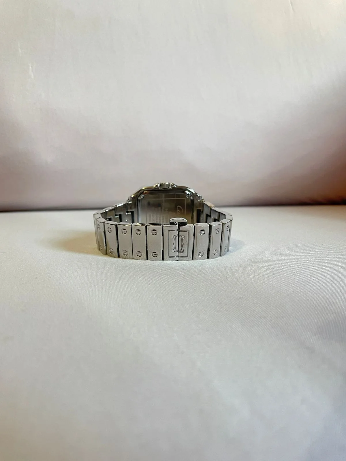 Cartier santos-FUCK 9.5