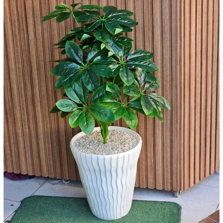 أشجار الطبيعة