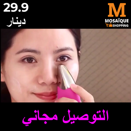 Mini Brosse électrique de visage