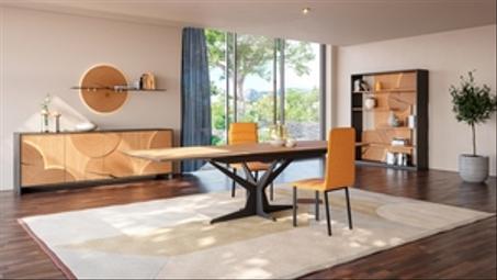 الأثاث المنزلي