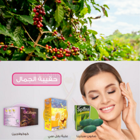 حقيبة الجمال