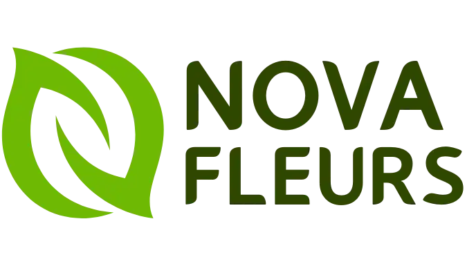 Novafleurss