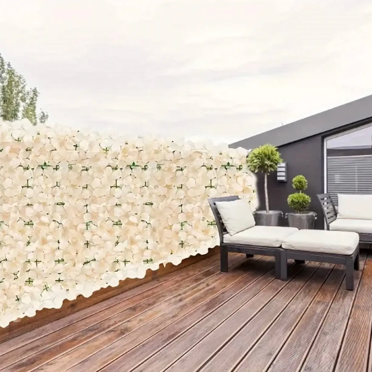 سياج الورود