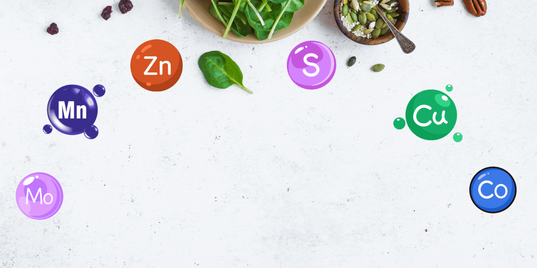 slider-image