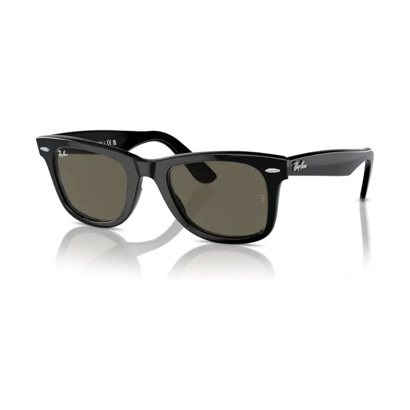 R-B WAYFARER NOIR