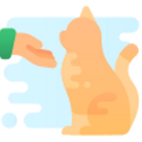 مستلزمات القطط