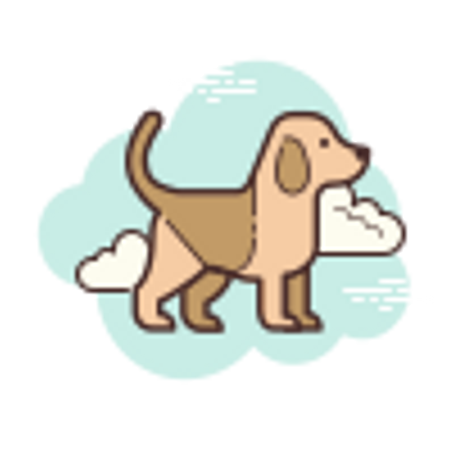 مستلزمات للكلاب