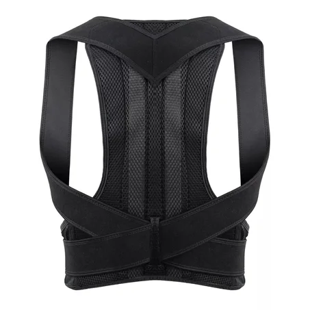 Back support belt