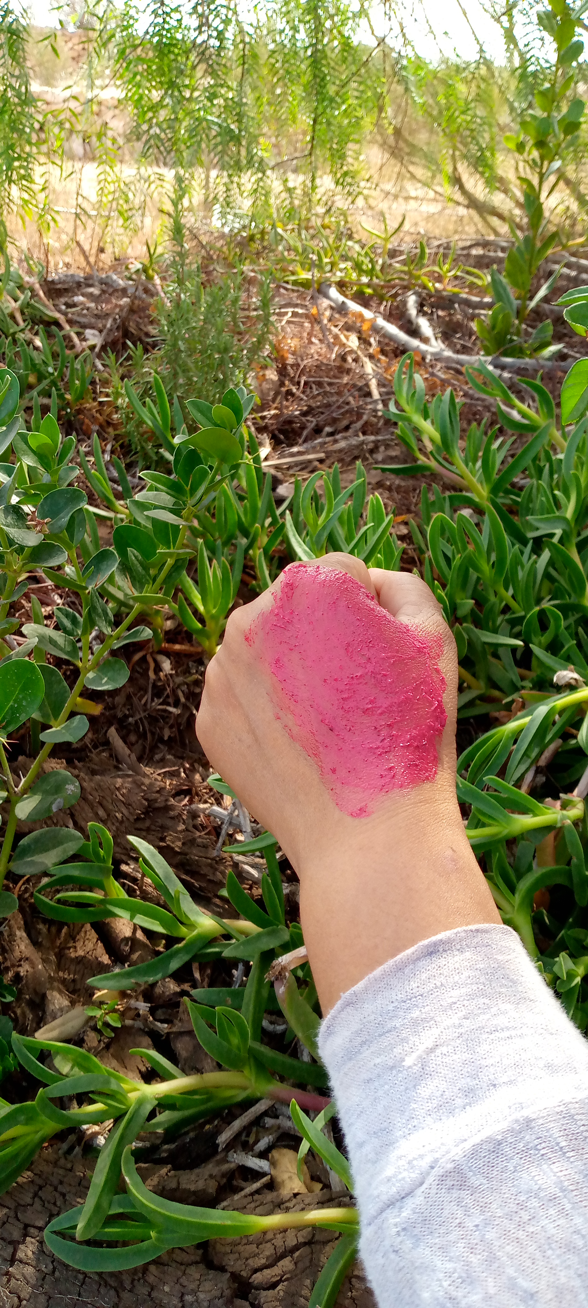 مقشر  الكركديه         Hibiscus scrub