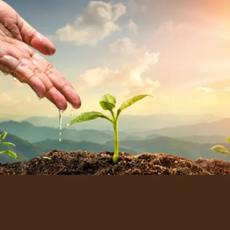 ثمار التجارة مع الله