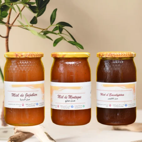 🍯👑 PACK GÉANT